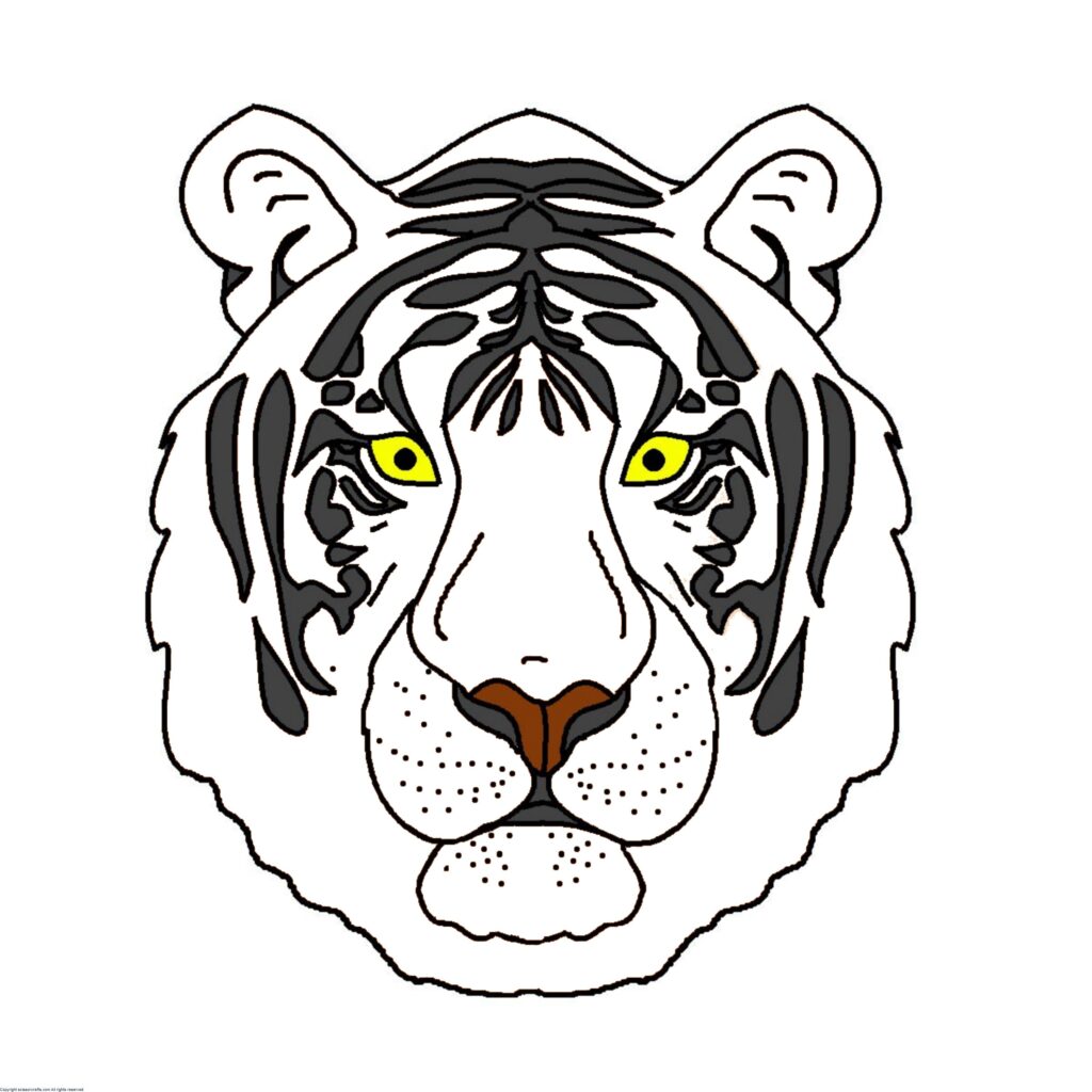 Joke: Sandy, Siberian White Tiger