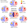 Minorities VS Majorities