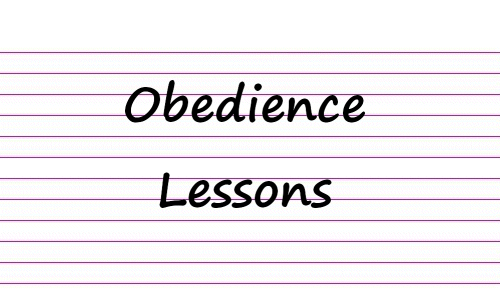 obedience-lessons