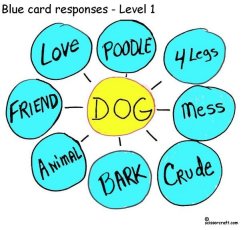 blue-card-dogth