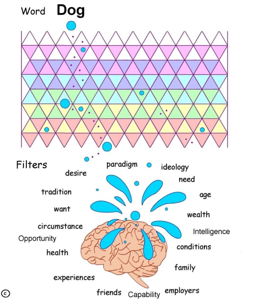 plinko-words-mind-breakdown