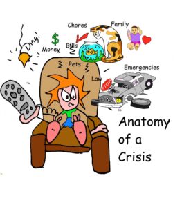 anatomy of a crisis